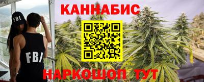прущие крисы Будённовск