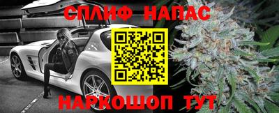 прущие крисы Будённовск