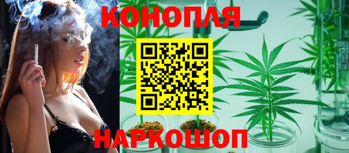 Бошки Шишки план Нижнеудинск